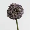 Flores de Cebollín Artificiales, Bolas de Flores Falsas, Arreglos Florales de Plantas Verdes, Dientes de León, Flores Decorativas para Sala de Estar en Casa, Flores Falsas, Flores de Mesa, Decoraciones de Boda