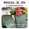 Maceta Cuadrada de Galón con Raíces Controladas y Diseño Impreso Maceta de Plástico Engrosada Maceta para Rosas de Balcón Interior Maceta para Flores de Crisantemo Maceta para Plántulas de Jardinería
