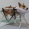 Soporte para Baño de Gatos, Soporte para Cortar Uñas, Hamaca de Aseo para Mascotas Anti-Arañazos y Anti-Mordeduras para Perros Pequeños, Herramienta para Baño de Perros