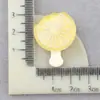 Acessórios de Resina DIY Picolé de Fruta Mordida Sorvete Chaveiro Pingente Brinquedo de Comida Acessórios para Mochila Cola de Creme DIY