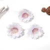 Flor de Ciruelo Simulada de 5.5 cm Cabezal DIY Corona Accesorios de Tela Accesorios para el Cabello Accesorios para Ropa Props de Fotografía Flor Decoración del Hogar