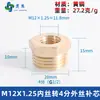 Adaptador de manómetro de cobre puro, reductor con roscas internas y externas M5M6M8M10M12M14*1.5M16 G1/4