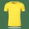 Camiseta de secagem rápida transfronteiriça gola redonda manga curta camisa publicitária camisa cultural roupa de trabalho comércio exterior camisa de eleição impressão de logotipo