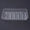 Fornecimento de bandejas plásticas PET, bandejas blister descartáveis, bandejas para alimentos, grandes quantidades a preços favoráveis
