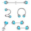 Promoção Quente da Amazon Conjunto de Argolas para Nariz em Aço Inoxidável Estilo Europeu e Americano Garra de Dragão Zircônia Argola para Umbigo Argola para Lábio Brinco Joias para Piercing