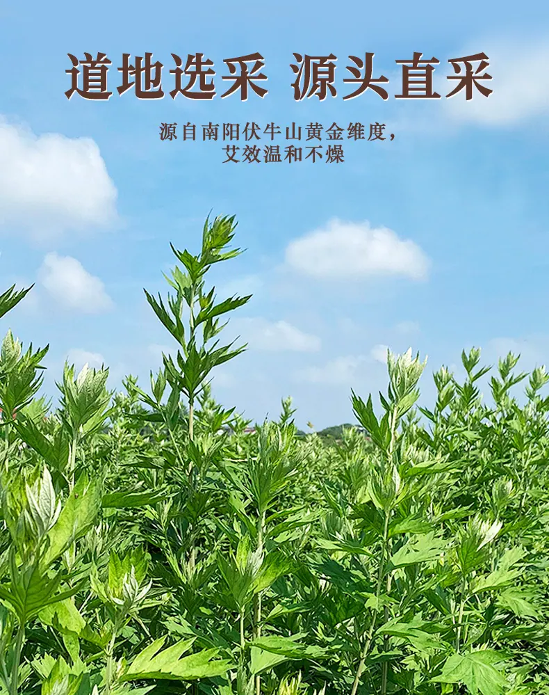 宛赞艾柱_03