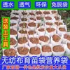 Bolsas para vivero de tela no tejida, Bolsas de nutrientes biodegradables, Vasos de nutrientes engrosados, Bolsas para plantar árboles, Contenedores para vivero de macetas, Vasos para plántulas de árboles