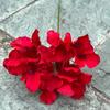 Novo Estilo Chinês Vermelho Casamento Flor Artificial Grande Vermelho Vinho Guia de Estrada Salão de Casamento Decoração Suave Flor Falsa Atacado