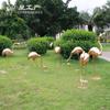 Decoración de reverdecimiento del Parque Comunitario Loupan Escultura de animal flamenco de grulla espejo de acero inoxidable Adornos de escultura de paisaje acuático