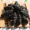 Fabricante de Pepino de Mar de Dalian al por Mayor Pepino de Mar Seco Ligero 500g Pepino de Mar Seco Caja de Regalo No de Pepino de Mar Pepino de Mar No Listo para Comer