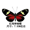 Venta Directa al Por Mayor de Fábrica de Especímenes Reales de Mariposas con Alas Extendidas, Diversos Insectos y Escarabajos, Accesorios para Fotos, Educación Científica, Especímenes Naturales
