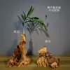 Talla de Raíz Natural, Talla en Madera, Madera Intemperie, Madera Muerta, Madera a la Deriva, Decoración Natural para el Hogar, Sala de Estar, Entrada, Madera para Paisajismo de Acuarios