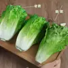 Hojas de Lechuga de Simulación Verdura Falsa Modelo de Frutas y Verduras Decoración Accesorios Adornos de Lechuga Hojas Grandes de Frutas y Verduras