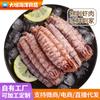 Carne de camarão pipi, carne de camarão rastejante, recheio de bolinho de camarão pipi cru congelado, carne de camarão rastejante, frutos do mar, camarão pipi cru congelado