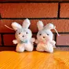 Série de Animais Fofos de Desenho Animado Tartaruga Cachorrinho Pato Papagaio Boneca Pingente Pelúcia Cidade da Diversão Máquina de Bonecas Presente