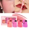 Set de rubor en gel transfronterizo natural fácil de aplicar, set de rubor mate hidratante Q-elástico de 4 colores