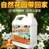 Fragrância de Flor de Gardênia para Interior Líquido Desodorizante e Perfumado de Longa Duração para Uso Doméstico em Guarda-Roupa, Sala de Estar e Quarto
