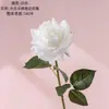 Toque Leve e Úmido Borda Enrolada Decoração de Casamento Rosa Estilo Ins Fabricante de Flores Artificiais Decoração de Casa Atacado Transfronteiriço Flores Artificiais