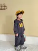 Conjunto de Roupa de Outono Infantil para Meninas, Esportivo e Soltinho, Novo Estilo Primavera e Outono 2026, Conjunto de Duas Peças de Moletom Casual para Bebês Meninos