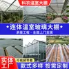 Estufa Inteligente para Cultivo com Luz Solar, Estufa de Vidro para Vegetais e Melancia, Estufa Agrícola Multi-Nave