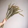 Pinha Flores Secas Artesanais Adereços de Fotografia Materiais Florais DIY Decorações para Sala de Estar Presentes de Natal