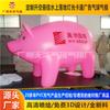 Venta al por mayor del fabricante Mascota del Año del Cerdo Cerdo Inflable Grande de PVC Dibujo Animado Inflable Dibujo Animado Inflable Modelo de Aire Inflable