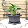 Generación al por mayor maceta flor de arena morada imitación pelo maceta hexagonal de plástico engrosado para orquídeas maceta rectangular para bonsái maceta para suculentas