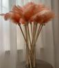 Varita Teaser de Plumas de Avestruz para Gatos con Campana Juguete de Hada para Gatitos, Gadget de Auto-Entretenimiento para Aliviar el Aburrimiento, Vara Larga Duradera para Gatos
