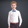 Entrega de Fábrica Rayas de Poliéster Puntos Polares Estudiante Varón Niños Pequeños Corbata de Moño Corbata Corbata Cuello de Moño Secciones Accesorios