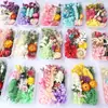 Flores Secas, Flores Preservadas, Vários Pacotes Mistos de Material para DIY, Flores Naturais, Ímãs de Geladeira, Velas, Leques, Porta-Retratos, Caixas de Material com Flores Secas