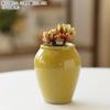Vaso Pequeno para Suculentas com Design de Pontos, Cerâmica Grossa Criativa de Jingdezhen de Alta Temperatura, Forma Controlada, Esmalte Brilhante Respirável