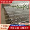 Cama de Semillero Móvil Galvanizada Especial para Plantación Agrícola, Anticorrosión y Antióxido, Rejilla de Marco de Aleación de Aluminio, Estante de Plantación, Cama de Vivero