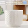 Maceta de Cerámica Popular Transfronteriza Temu con Plato, Diseño Simple para Uso Doméstico, Específicamente para Phalaenopsis, Maceta Estilo Ins para Suculentas y Plantas Verdes