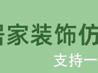 巴西木