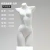 Soporte de Exhibición para Modelos de Ropa Interior para Hombres y Mujeres, Soporte de Modelo de Pecho Push-Up de Media Longitud y Ropa Interior, Accesorios de Maniquí Falso, Modelo de Pecho