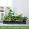 Serie de Modismos de Cuatro CaracteresPlantas Verdes Simuladas para Paisajismo, Maceteros de Flores Artificiales, Separadores, Vitrinas de Exhibición de Plantas Tropicales Biónicas para Exteriores