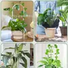 Estructura trepadora para plantas de soporte en maceta transfronteriza, longitud de 35 cm a 40 cm