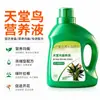 Solução Nutritiva Ave do Paraíso Fórmula Suave de Proteção das Raízes Proteção das Folhas Nutrição da Planta o Ano Todo Vertical Universal para Diversas Plantas de Folhagem Domésticas