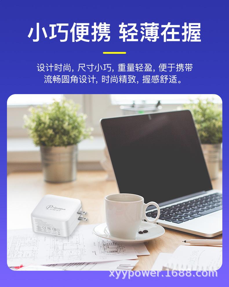 PD100W氮化镓C+C美规