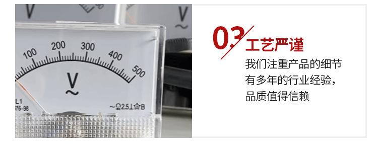乐清市蜀隆仪表厂xq_08.png