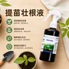 Promoção de Mudas e Líquido Fortalecedor de Raízes Promove Enraizamento e Mudas Fortes Solução Nutritiva Universal para Transplante de Árvores Frutíferas, Vegetais e Flores