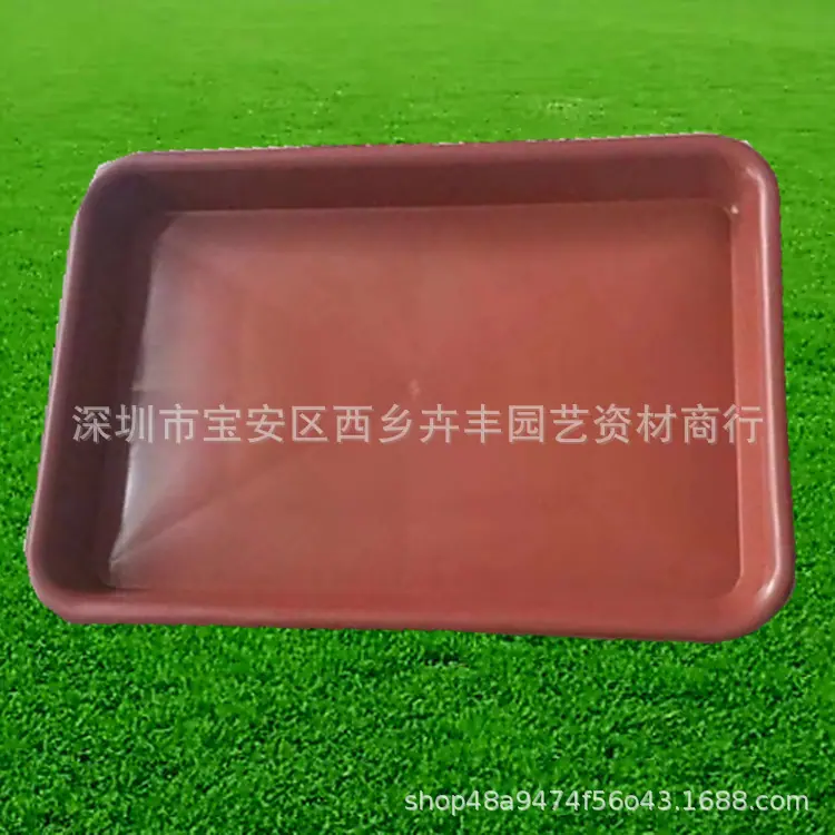 55561758856405
