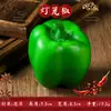 Decoração de Pimenta Verdura Falsa Pimenta Vermelha Picante Pimenta Verde Modelo Adereços de Fotografia Frutas Penduradas para Restaurante Brinquedos