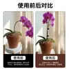 Soporte para Plantas para Orquídeas Phalaenopsis, Engrosado, Adecuado para Jardinería Casera, Flexible, Soporta y Fija Ramas