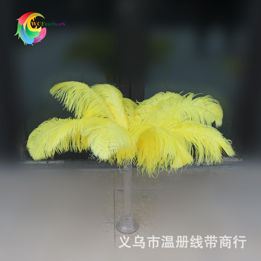 4 鸵大杆 60-65cm 4