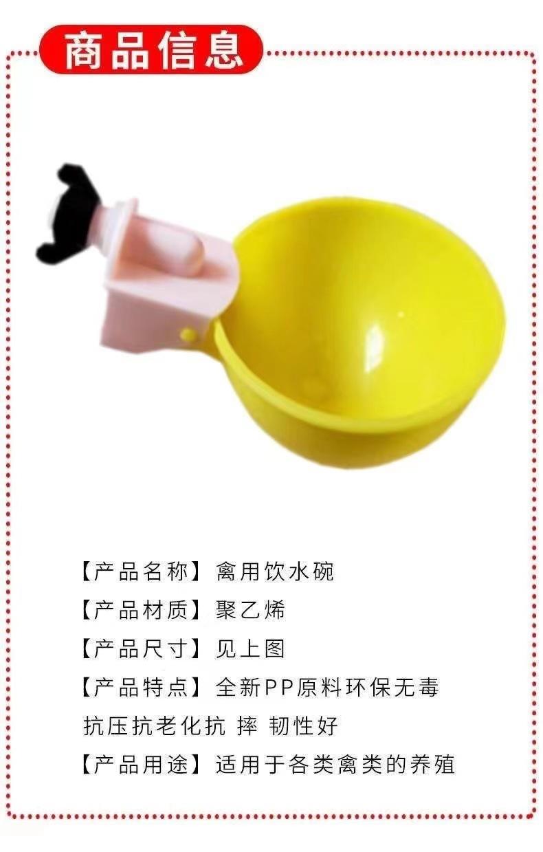 详情 (6).jpg