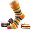 Calcetines de Cinco Dedos para Mujer, Calcetines de Algodón de Caña Media, Para Todas las Estaciones, Venta al por Mayor de Fábrica, Absorbentes de Sudor, Antideslizantes, de Cinco Dedos, Calcetines de Dedo Partido Personalizados Transfronterizos