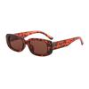 Novos Óculos de Sol Pequenos Tendência Armação Quadrada Cor Gelatina Moda Street Style Óculos de Sol Feminino Alto Padrão Óculos de Sol Transfronteiriços