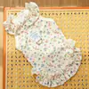 Vestido para cachorro direto da fábrica, roupa para pet, vestido leve universal para gatos e cachorros, roupas de outono e inverno para gatos, Bichons e filhotes