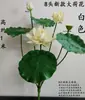 Flores de Loto Simuladas, Hojas de Loto Falsas para Estanques, Nenúfares para Paisajismo, Decoración para Acuarios, Accesorios para Espectáculos de Danza, Flores Artificiales de Alta Gama